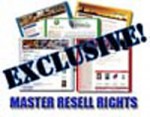 85 Exclusive Niche Sites MRR Template