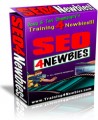 Seo For Newbies Videos MRR Video