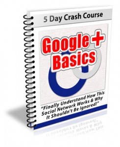 Google Plus Basics Newsletter Set Plr Autoresponder Messages