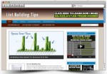 List Building Niche Blog Personal Use Template