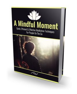 A Mindful Moment MRR Ebook
