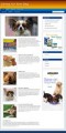 Dog Care Niche Blog PLR Template 