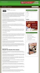 Plr Niche Blog PLR Template