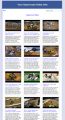 Supercross Video Site Builder MRR Software