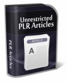 10 Webinars PLR Article