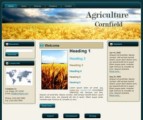 Cornfield WP Theme Mrr Template