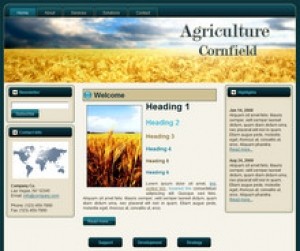 Cornfield WP Theme Mrr Template