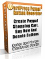 WordPress Paypal Button Generator Plr Script With Video