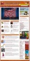 Irritable Bowel Syndrome Website Plr Template