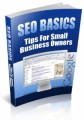 SEO Basics - Tips For Small Business Owners Plr Ebook
