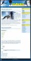 Ice Hockey Templates Plr Template