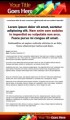 PLR Minisite Design V1 Plr Template