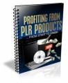 Profiting From PLR Products Mrr Ebook