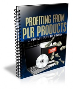 Profiting From PLR Products Mrr Ebook