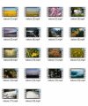 Nature Stock Videos V2 MRR Video