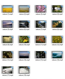 Nature Stock Videos V2 MRR Video