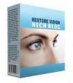 New Restore Vision Flipping Niche Blog Personal Use Template