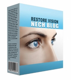 New Restore Vision Flipping Niche Blog Personal Use Template