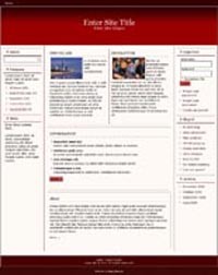 Responsive Magazine Style Template 1 PLR Template