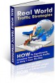 Real World Traffic Strategies MRR Ebook 