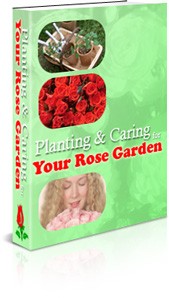 Your Rose Garden MRR Ebook