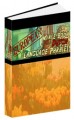 European Mini E-Book Dutch Language Phrases Resale ...