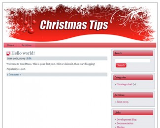 12 Christmas WordPress Themes Plr Template