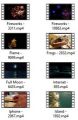 Editors Choice 4k Uhd Stock Videos Pt 2 MRR Video