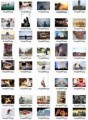 Humans Stock Images Resale Rights Graphic