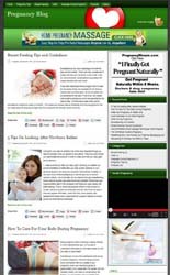 Pregnancy Niche Blog PLR Template