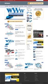 Website Business Niche Blog Personal Use Template