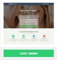 33 Mobile Responsive Sales Pages Developer License Template