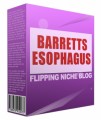 Barretts Esophagus Flipping Niche Blog Personal Use ...