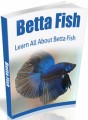 Betta Fish MRR Ebook