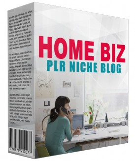 Home Biz Plr Niche Blog V2 PLR Template