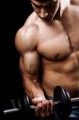 Muscle Building Tips Software PLR Software 