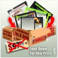 Template In A Box PLR Ebook