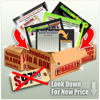 Template In A Box PLR Ebook