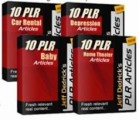 10 Plr Niche Article Packages PLR Article