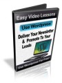 Use Wordpress To Deliver Your Newsletter Resale Rights ...
