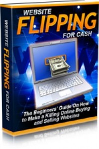 Website Flipping For Cash Mrr Ebook