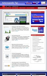 Autoresponder Niche Blog Personal Use Template With Video