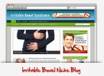 Irritable Bowel Niche Wordpress Theme Personal Use Template