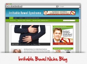 Irritable Bowel Niche WordPress Theme Personal Use Template