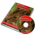 Raising Exotic Bengal Kittens MRR Ebook With Audio