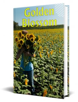 Golden Blossom PLR Ebook