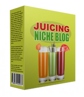 New Juicing Flipping Niche Blog Personal Use Template