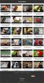 Parrots Instant Mobile Video Site MRR Software