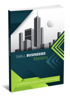 Small Business Mastery MRR Ebook