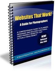 Websites That Work MRR Ebook